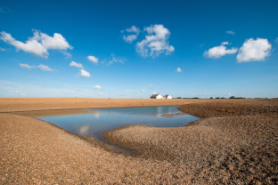 Shingle Street