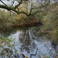Woodland Trust, Pound Farm, Great Glemham