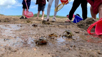 Crabbing at Walberswick